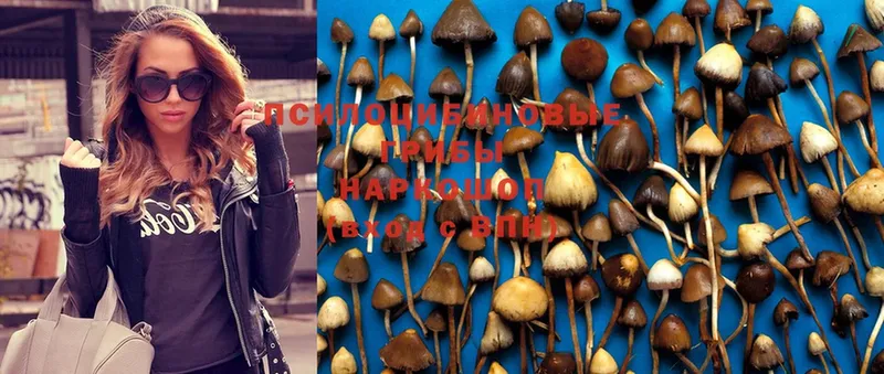 гидра онион  наркота  Зерноград  Псилоцибиновые грибы MAGIC MUSHROOMS 